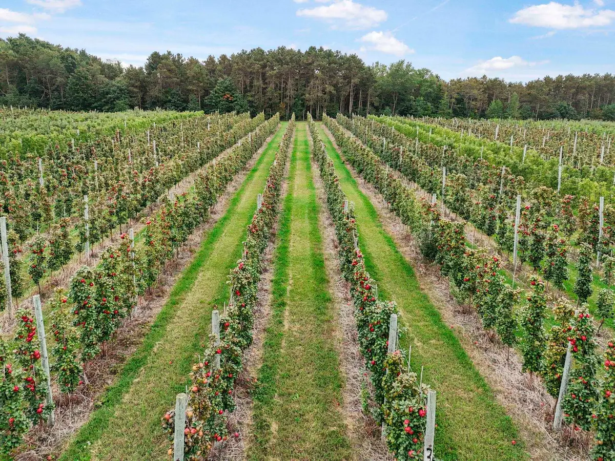 8200 W Empire HWY, Empire, MI 49630 - Image #1