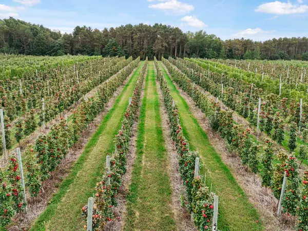 8200 W Empire HWY, Empire, MI 49630