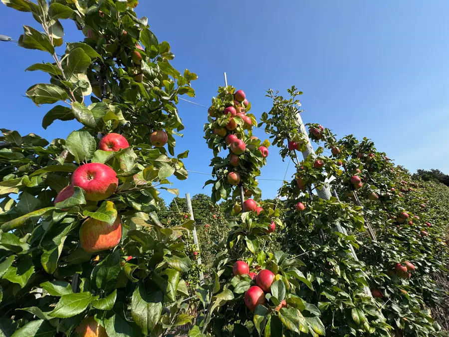 8200 W Empire HWY, Empire, MI 49630 - Image #2