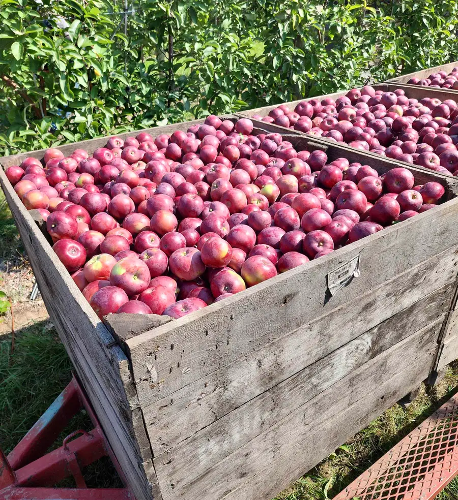 8200 W Empire HWY, Empire, MI 49630 - Image #3