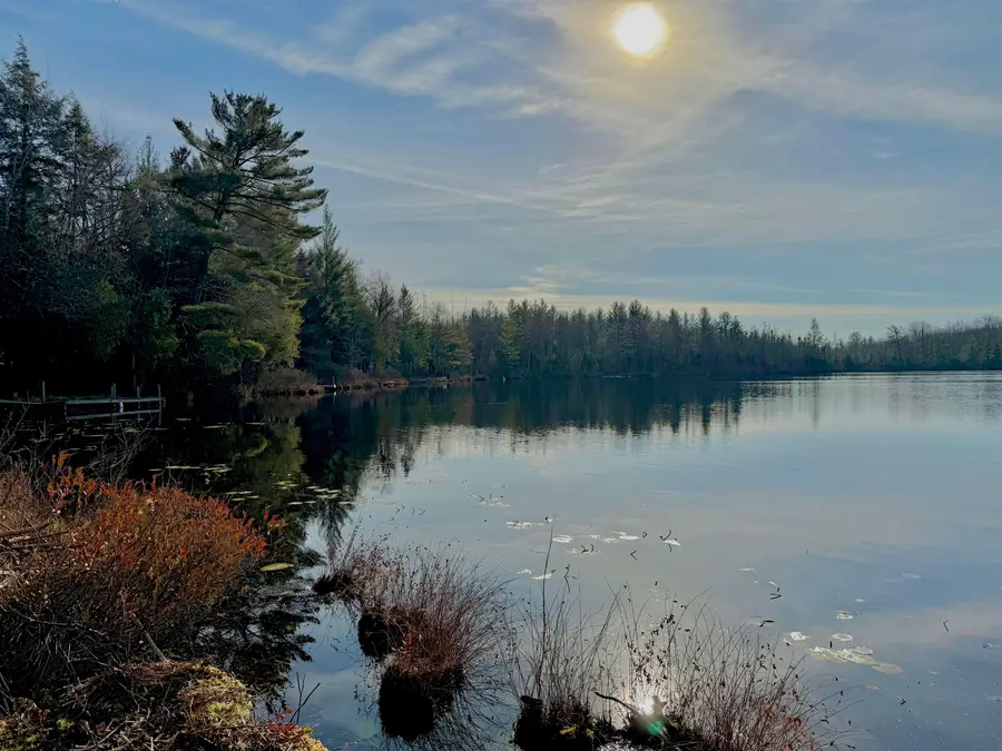 5877 E Lake Five, Kalkaska, MI 49646 - Image #3