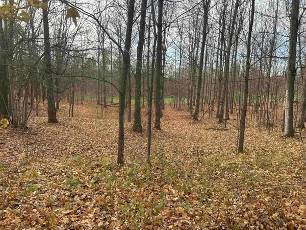 Lot 7 White Tail, Bellaire, MI 49615