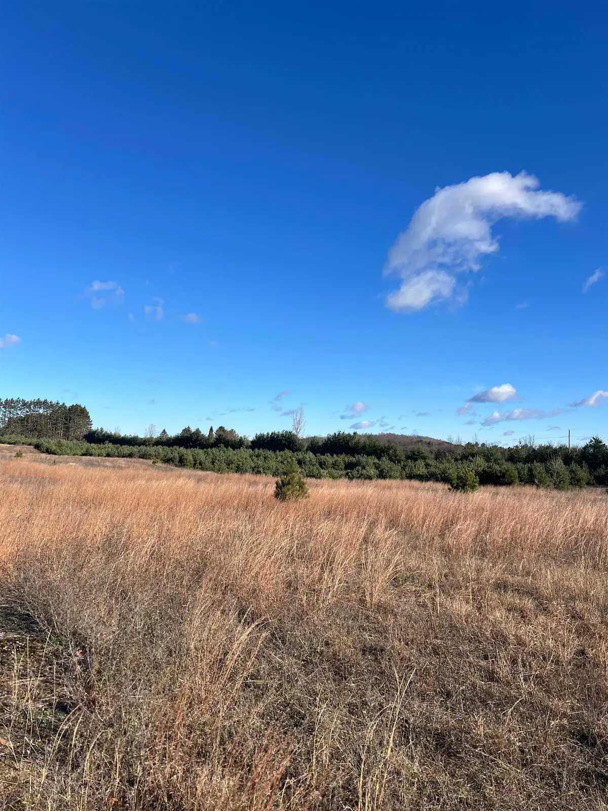 Vacant Land Johnson, Bellaire, MI 49615 - Image #1