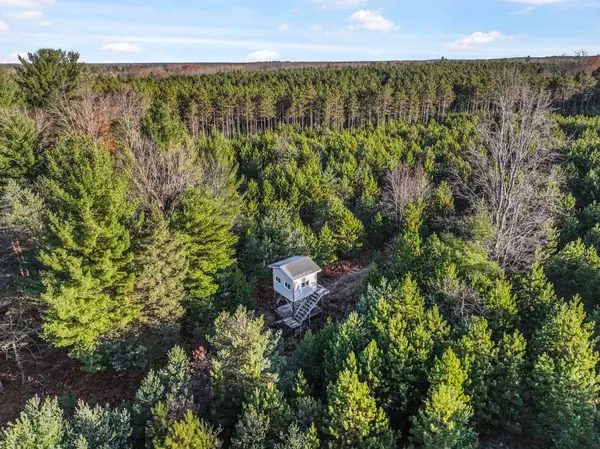 0 Vans, Kingsley, MI 49649