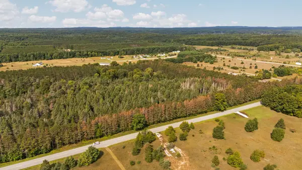 Maple City HWY, LakeAnn, MI 49650