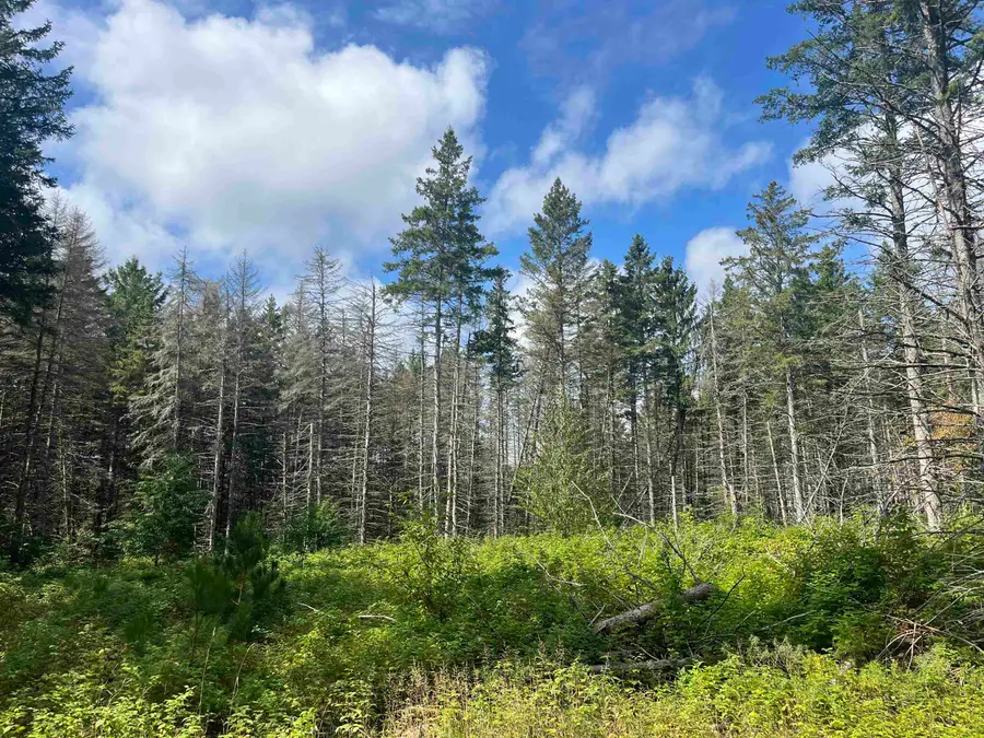 Maple City, Almira, MI 49650 - #2