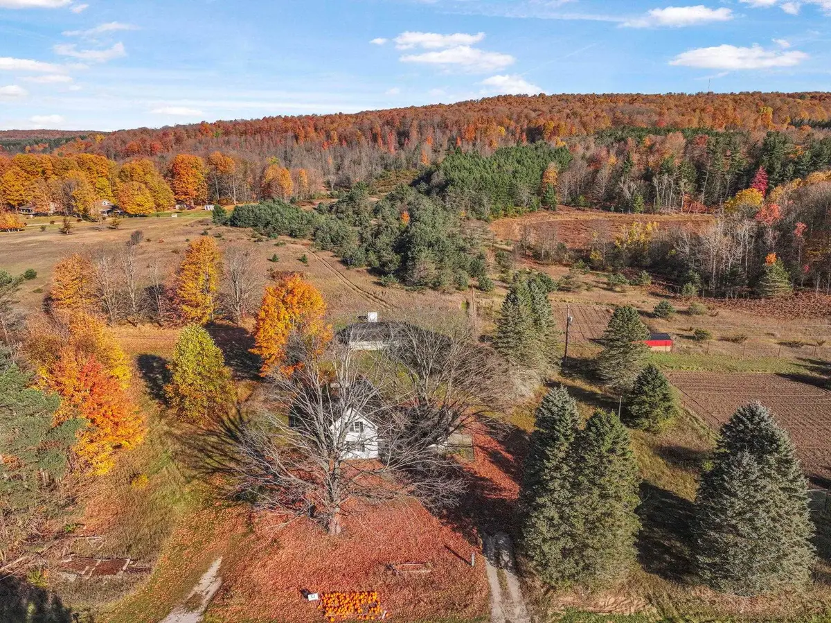 10308 Homestead, Beulah, MI 49617 - Image #1