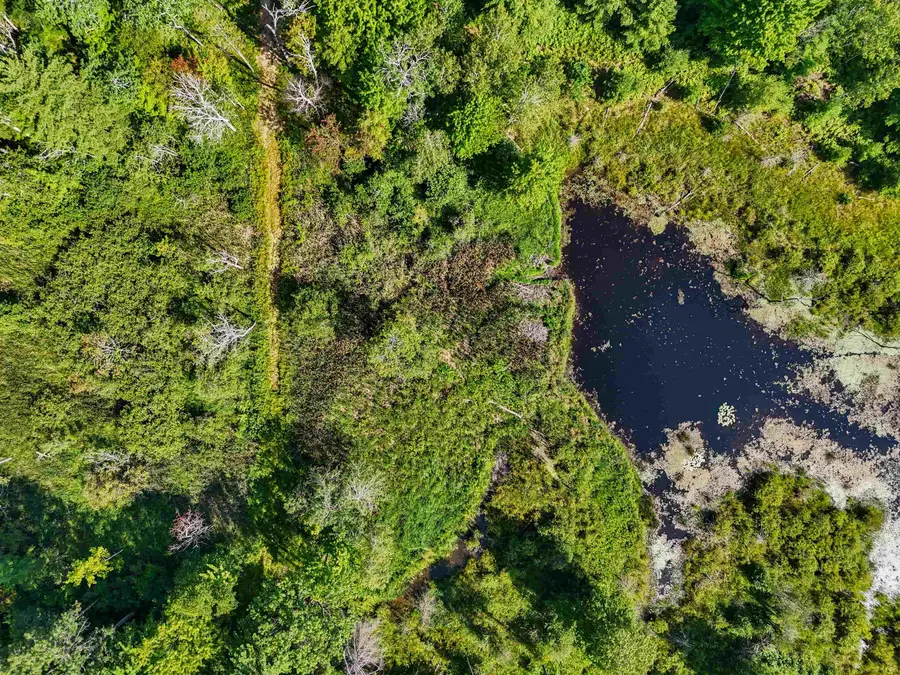 00 Arnold, Manton, MI 49663 - Image #3