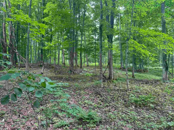 11599 S Tower, MapleCity, MI 49664