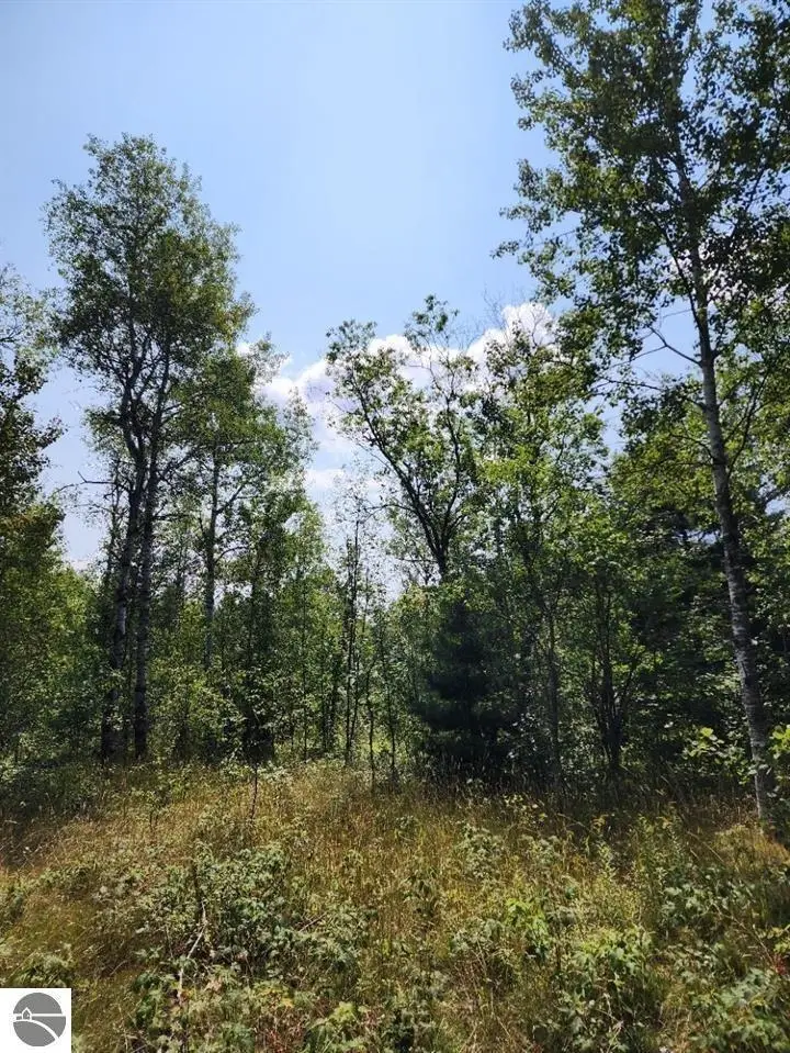 VL Snowridge, Elmira, MI 49730 - Image #3