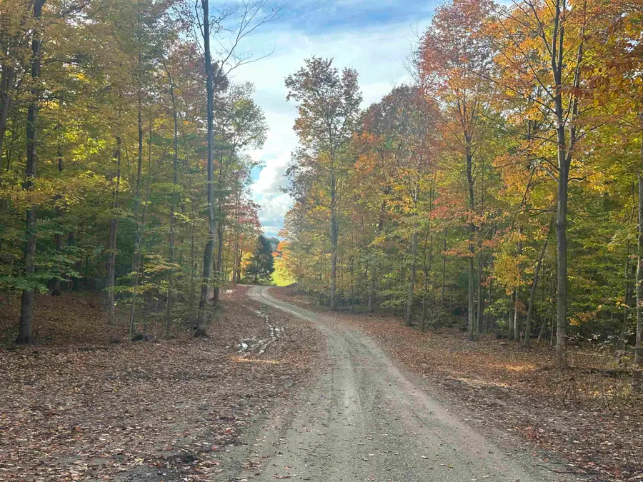 11605 S Tower, Kasson, MI 49664 - Image #2