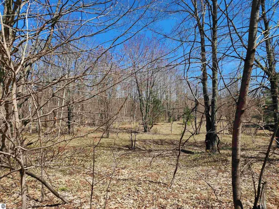 VL Wilamont, Mancelona, MI 49659 - Image #2