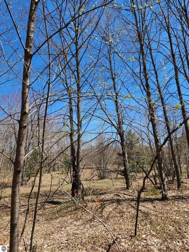 VL Wilamont, Mancelona, MI 49659 - Image #3