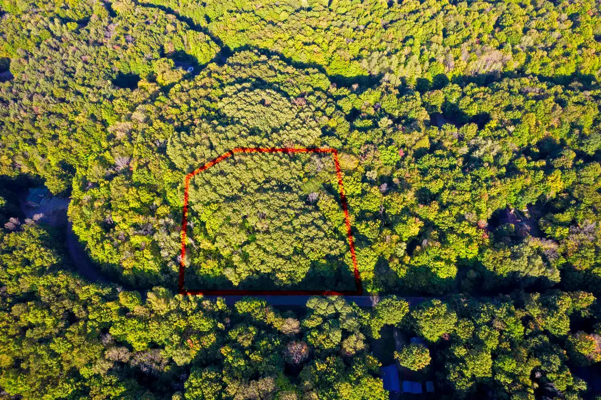 V/L Forestgrove, Elmira, MI 49730 - Image #1