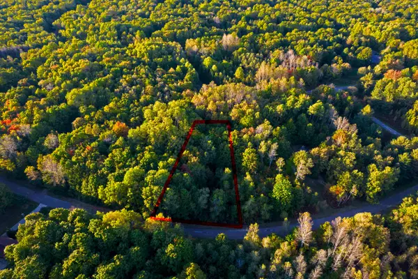 V/L Springdale, Elmira, MI 49730