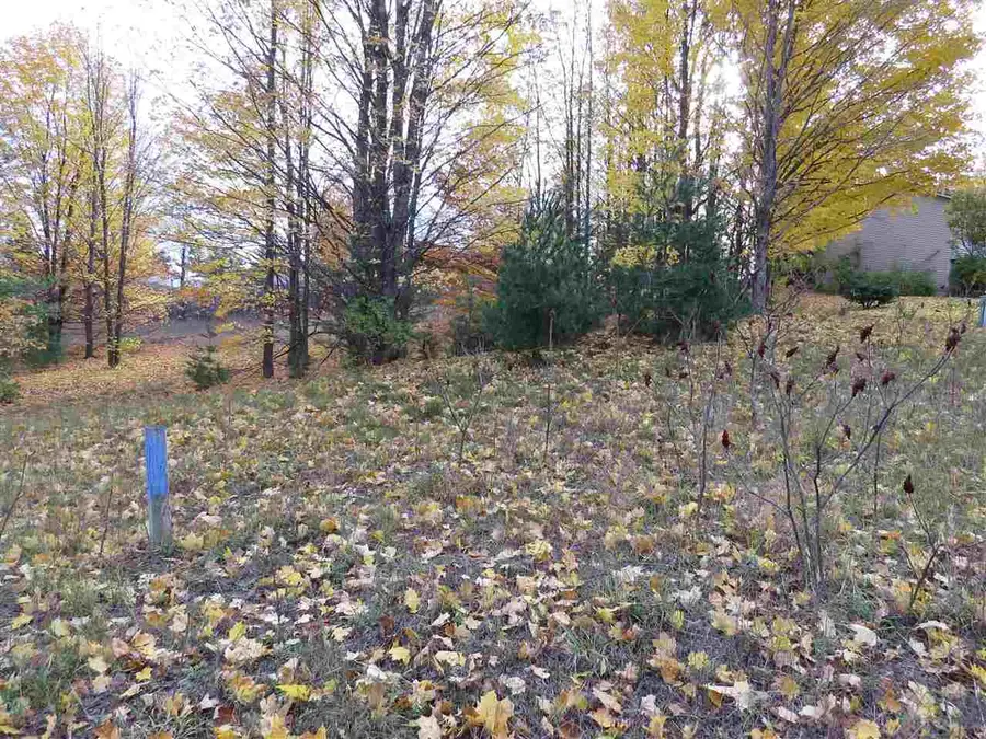 Lot 64 Eden, Kingsley, MI 49649 - Image #3