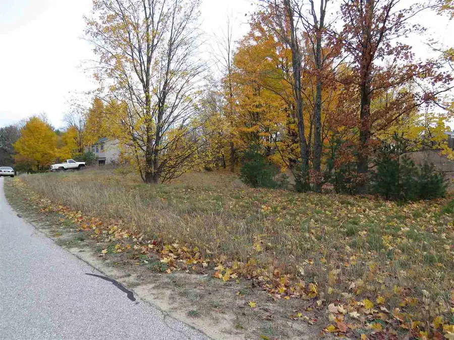Lot 66 Eden, Kingsley, MI 49649 - Image #2