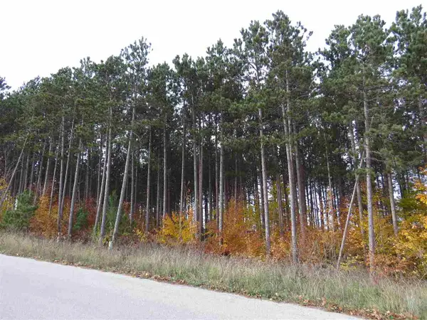 Lot 78 Eden, Kingsley, MI 49649