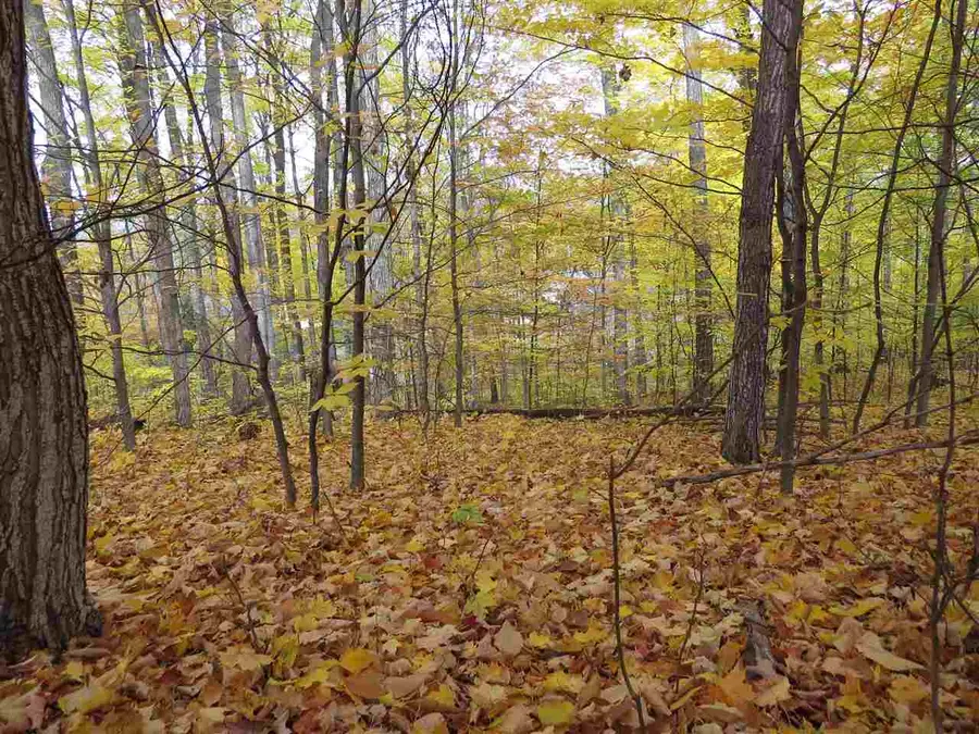 Lot 80 Eden, Kingsley, MI 49649 - Image #3