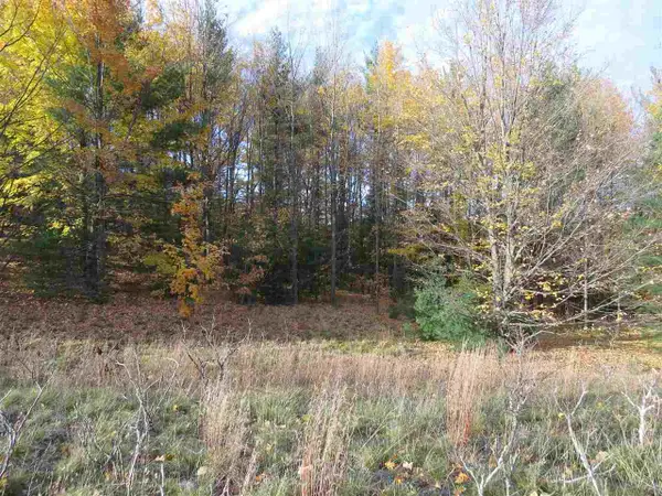 Lot 98 Eden, Kingsley, MI 49649
