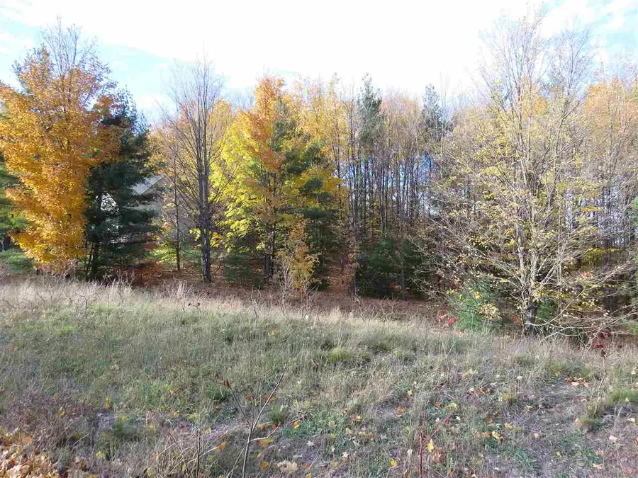 Lot 98 Eden, Kingsley, MI 49649 - Image #2
