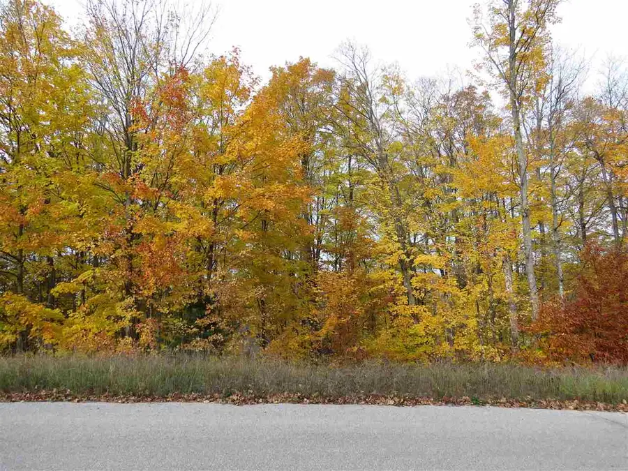 Lot 79 Eden, Kingsley, MI 49649 - Image #2
