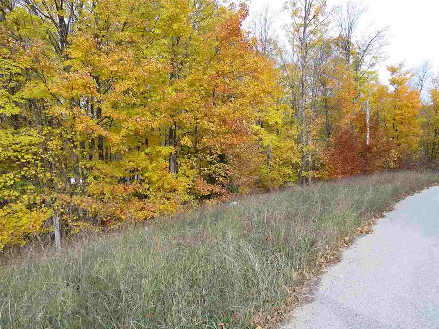 Lot 79 Eden, Kingsley, MI 49649 - Image #3