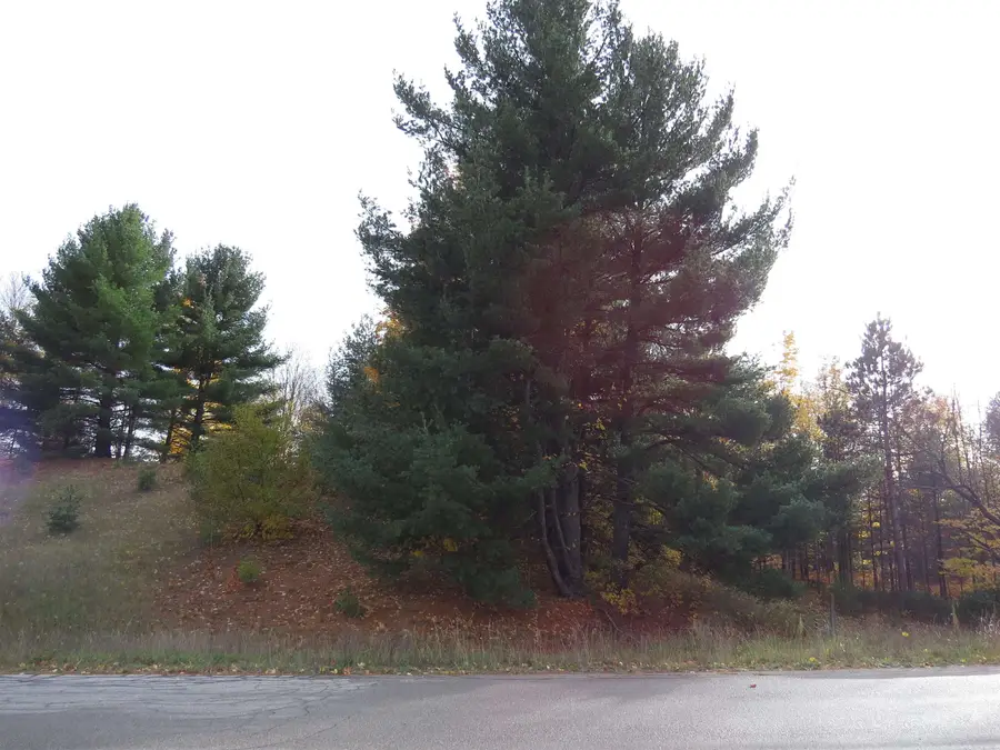 Lot 62 Eden, Kingsley, MI 49649 - Image #3