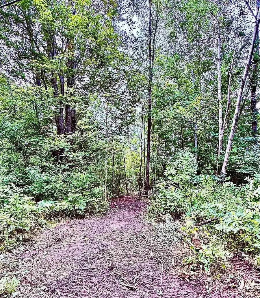 Parcel C M-113, Kingsley, MI 49649 - Image #3