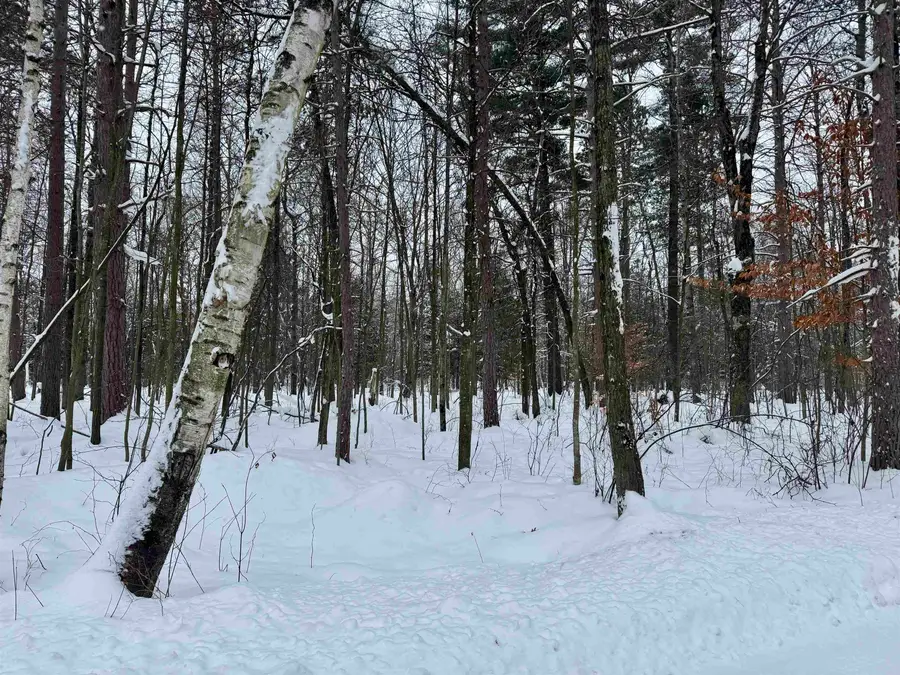 Parcel A 32 1/2 RD, Cadillac, MI 49601 - Image #2