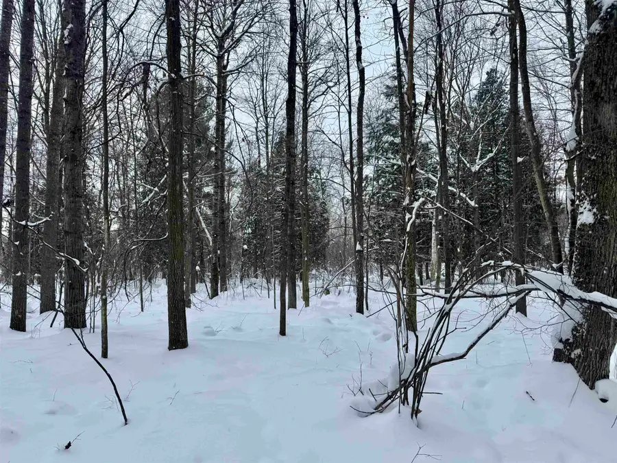 Parcel A 32 1/2 RD, Cadillac, MI 49601 - Image #3