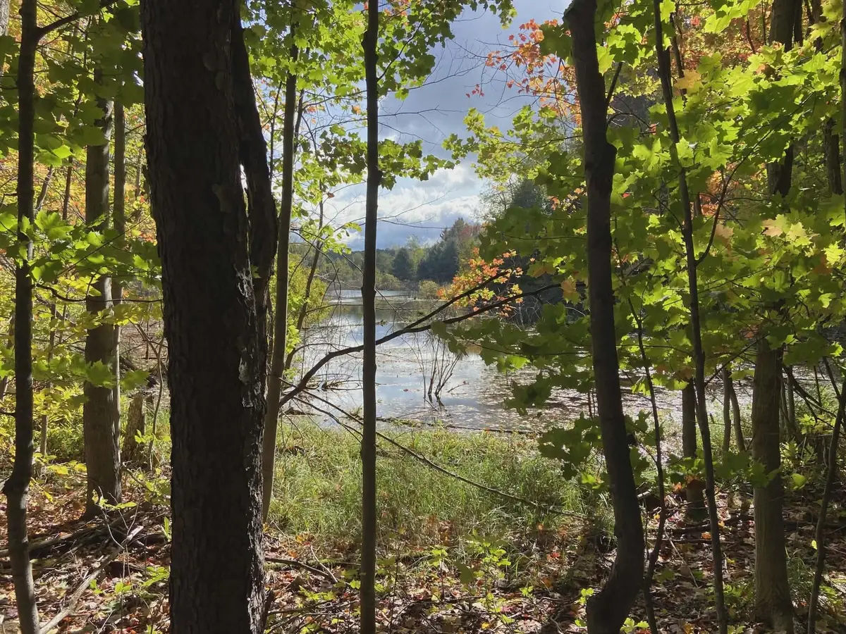 20047 Davis Lake, Almira, MI 49684 - Image #1