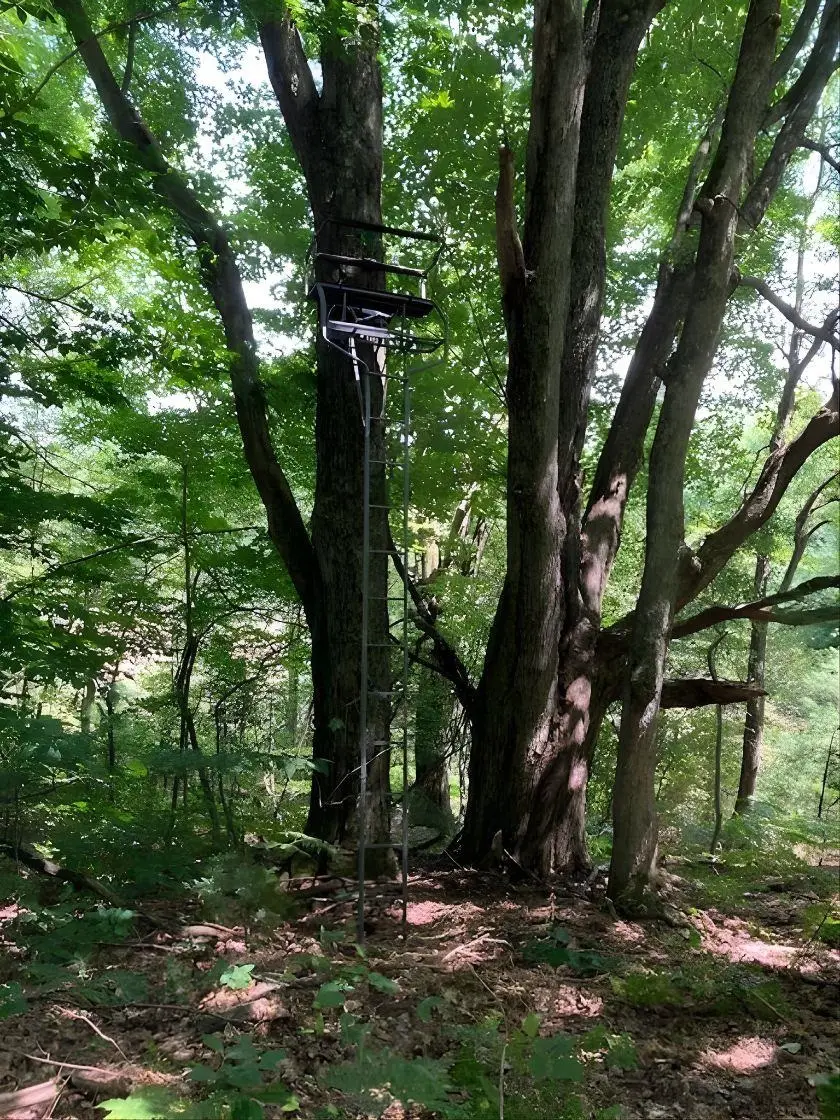 20047 Davis Lake, Almira, MI 49684 - Image #3