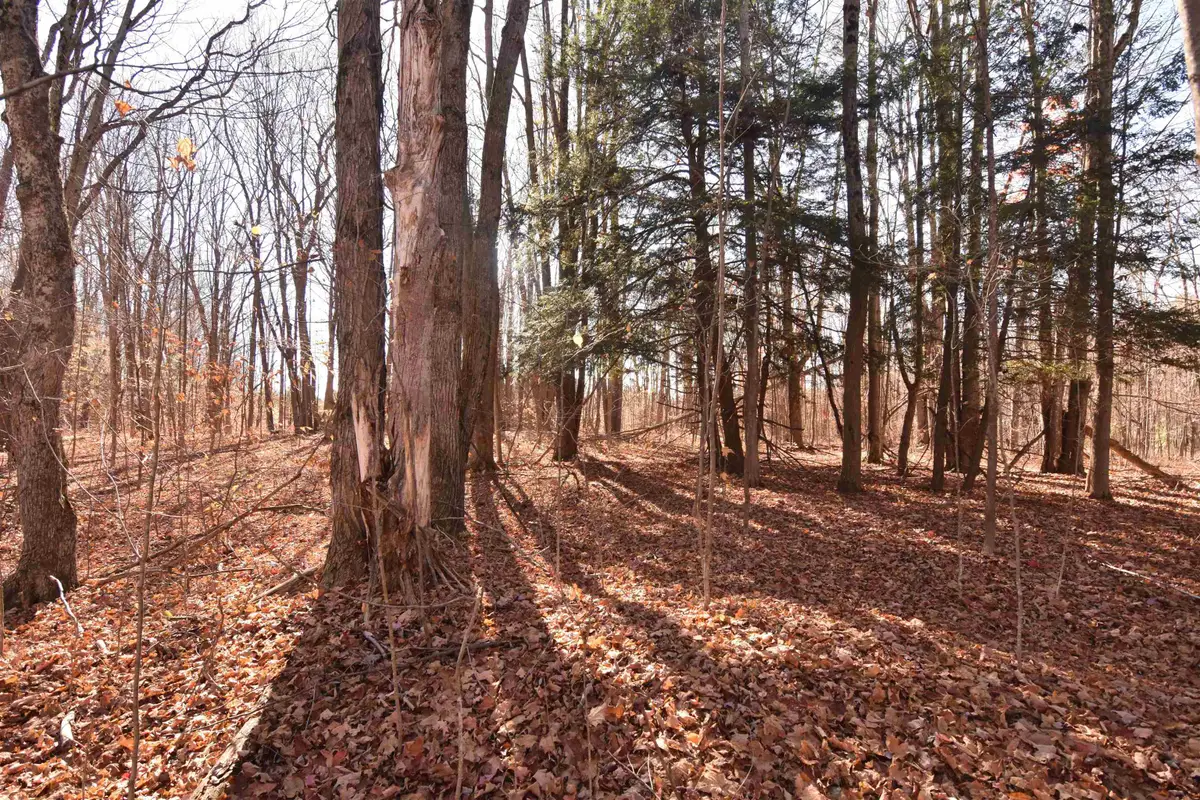 00 W M-115, Mesick, MI 49668 - Image #1