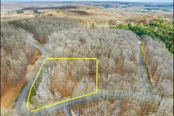 158 Forest Highlands, Bellaire, MI 49615