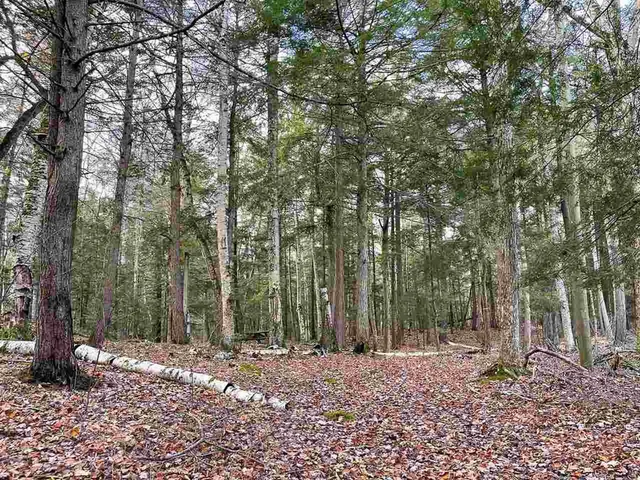 TBD East Side, Peaine, MI 49782 - Image #2