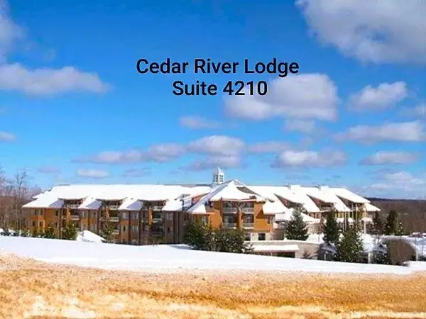 2400 Troon South, Bellaire, MI 49615