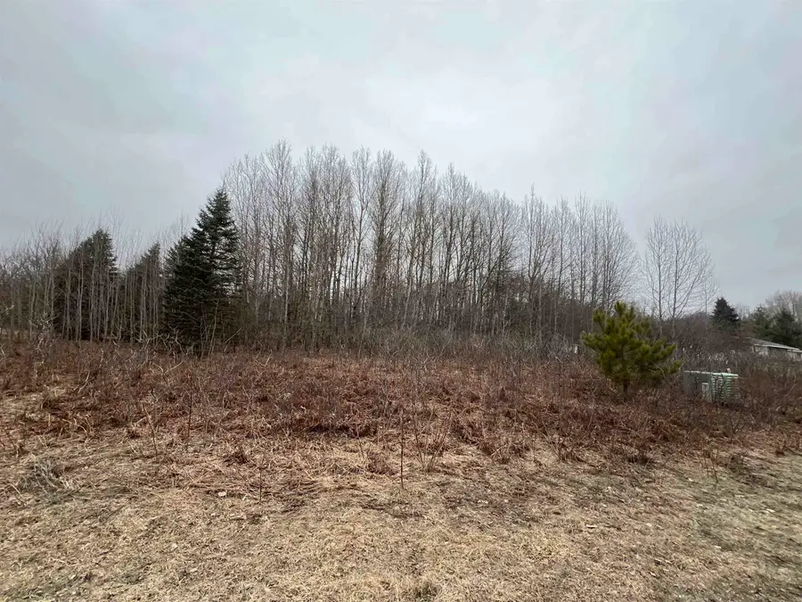 Lot 19 Crestview, Cadillac, MI 49601 - Image #2