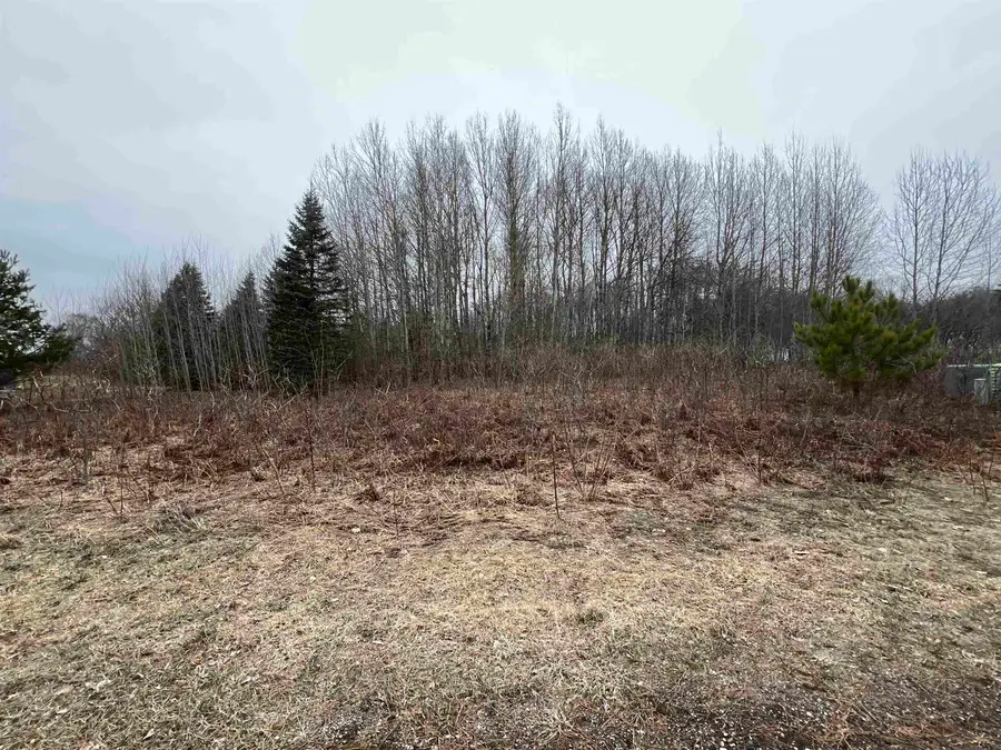 Lot 19 Crestview, Cadillac, MI 49601 - Image #3
