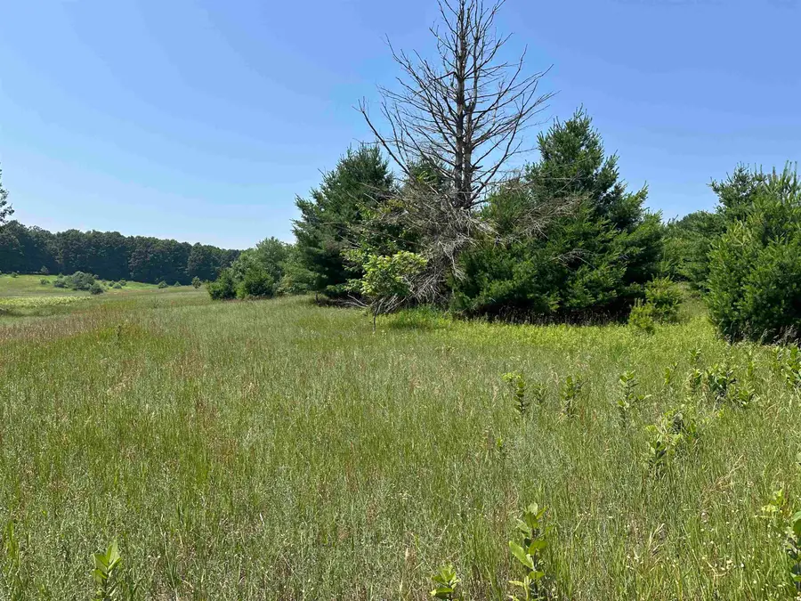 Parcel 3 Bright, Glen Arbor Township, MI 49664 - Image #2