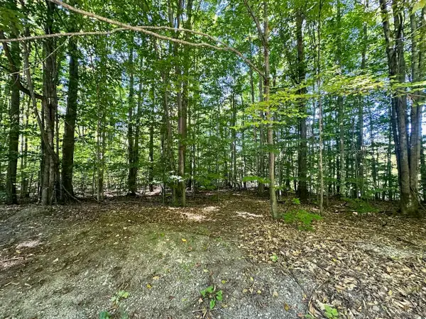 Lot 21 Wonder Strasse, Bellaire, MI 49615