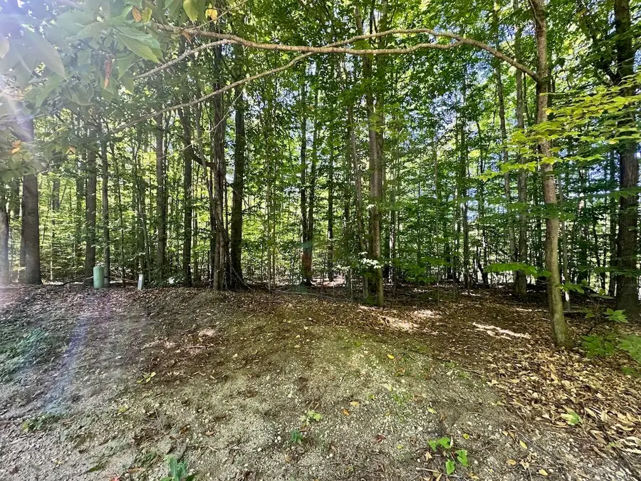 Lot 21 Wonder Strasse, Bellaire, MI 49615 - Image #2
