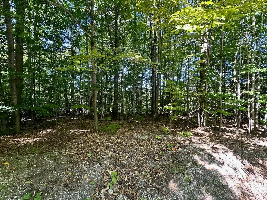 Lot 21 Wonder Strasse, Bellaire, MI 49615 - Image #3