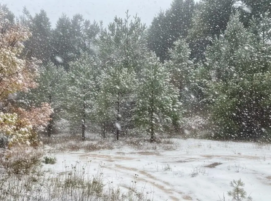 ** N 2 1/2 RD, Buckley, MI 49620 - Image #3