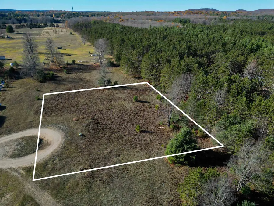 TBD Tiger DR, Almira, MI 49650 - Image #2