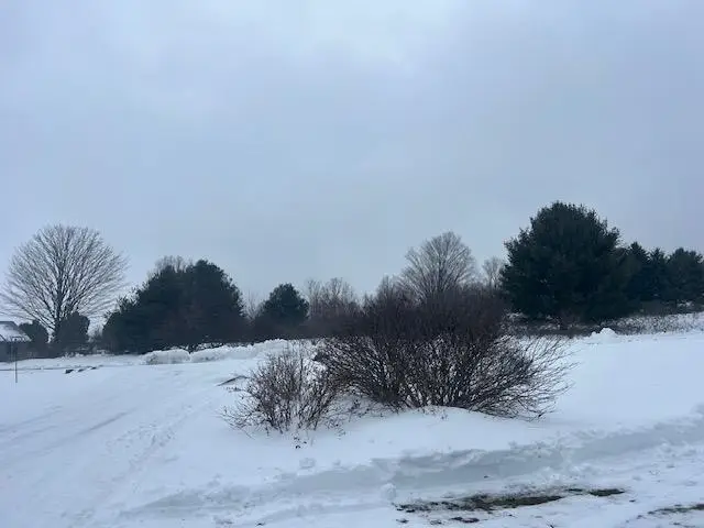 7472 S Whispering HLS, Bingham, MI 49684 - Image #3