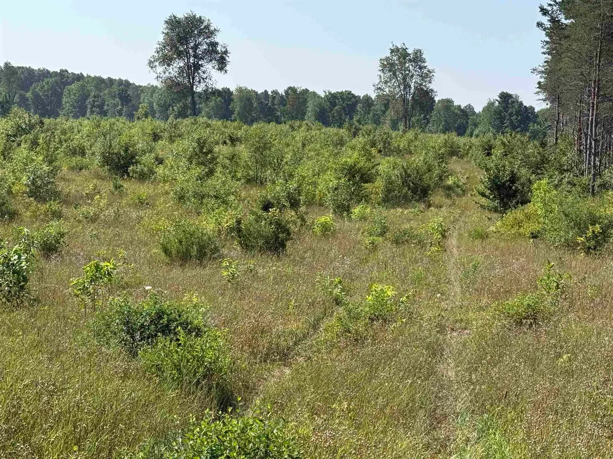 Parcel A1 E Kasson RD, Kasson, MI 49664 - Image #1