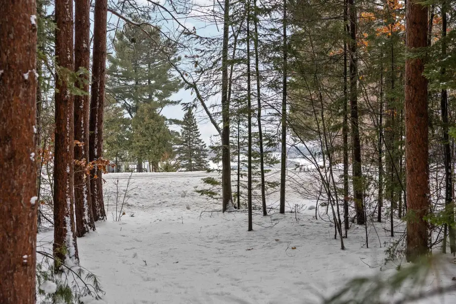 10105 Coster RD, Springfield, MI 49633 - Image #2