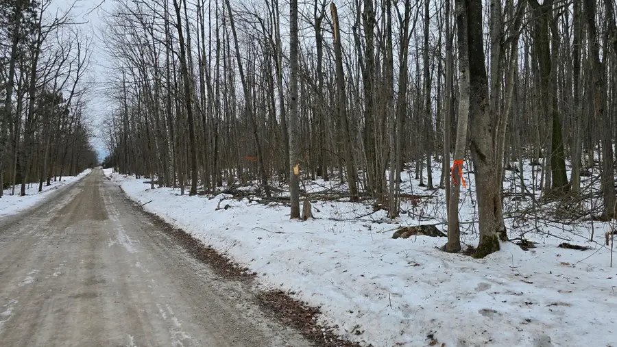 13384 Bartz, Hubbard Lake, MI 49747 - Image #3