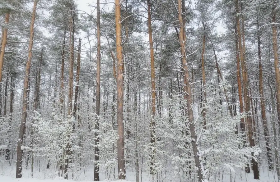 A Garfield, Kingsley, MI 49649 - Image #2